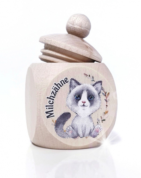Katze Ragdoll Junge MZD